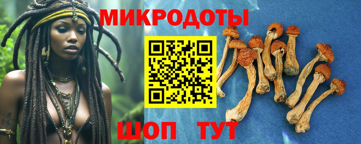 Галлюциногенные грибы мухоморы Тамбов