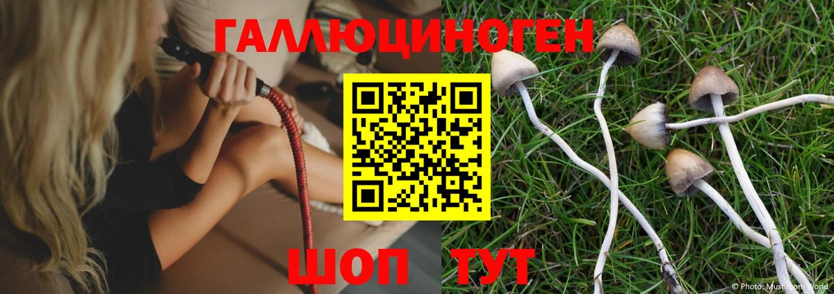 Псилоцибиновые грибы мицелий  Вход с VPN  Тамбов 
